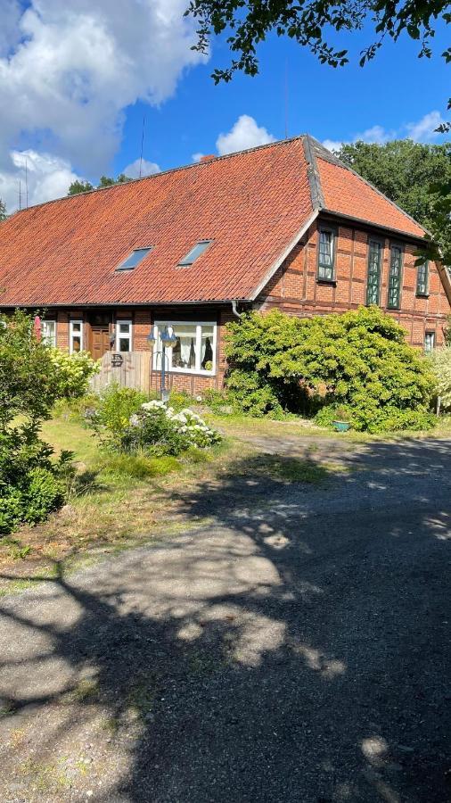 Apartamento Hof Düshop Bad Fallingbostel Exterior foto