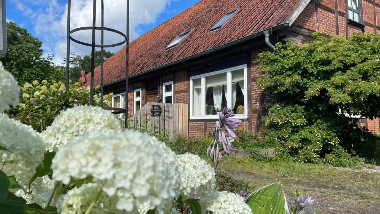 Apartamento Hof Düshop Bad Fallingbostel Exterior foto